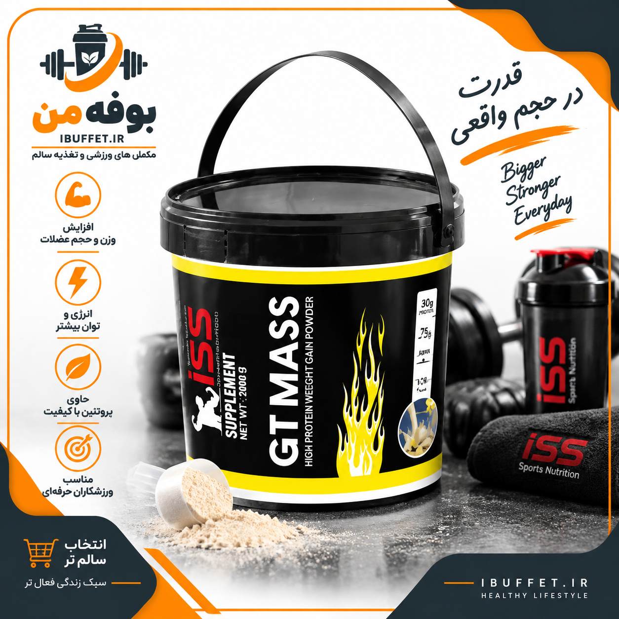 خرید/ فروش  قسطی جی تی مس 5000 گرم شکلات فندق ISS